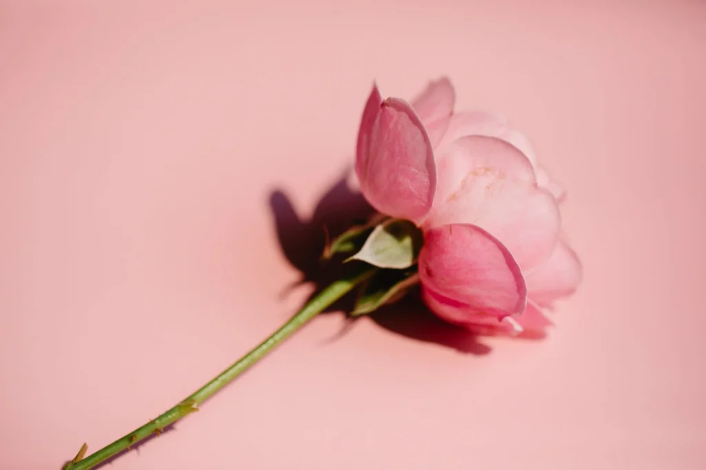 The little things you do daily can make a BIG difference in the long-term!